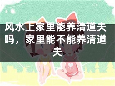 风水上家里能养清道夫吗，家里能不能养清道夫