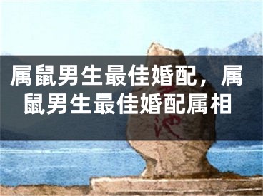 属鼠男生最佳婚配,属鼠男生最佳婚配属相