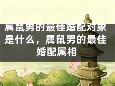 属鼠男的最佳婚配对象是什么,属鼠男的最佳婚配属相
