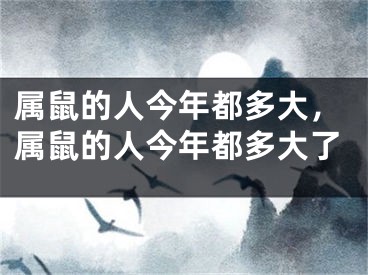 属鼠的人今年都多大,属鼠的人今年都多大了