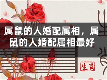 属鼠的人婚配属相，属鼠的人婚配属相最好