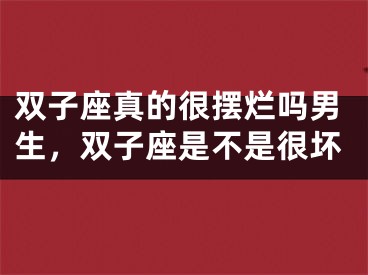 双子座真的很摆烂吗男生,双子座是不是很坏