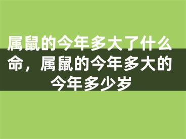 属鼠的今年多大了什么命，属鼠的今年多大的今年多少岁