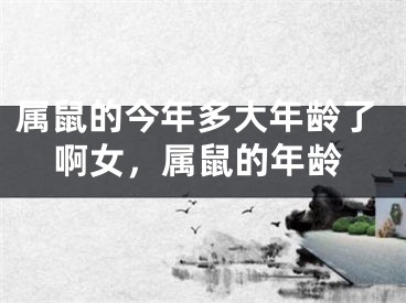 属鼠的今年多大年龄了啊女，属鼠的年龄