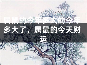 属鼠的今年多大的今年多大了，属鼠的今天财运