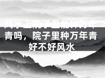 风水上院子里能种万年青吗，院子里种万年青好不好风水