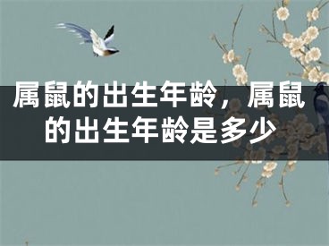 属鼠的出生年龄,属鼠的出生年龄是多少