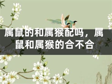 属鼠的和属猴配吗，属鼠和属猴的合不合