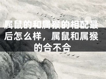 属鼠的和属猴的相配最后怎么样，属鼠和属猴的合不合