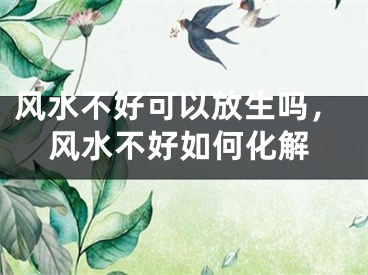 风水不好可以放生吗，风水不好如何化解