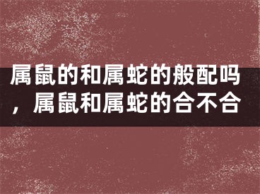 属鼠的和属蛇的般配吗，属鼠和属蛇的合不合