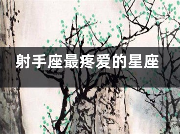 射手座最疼爱的星座