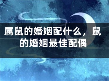 属鼠的婚姻配什么，鼠的婚姻最佳配偶