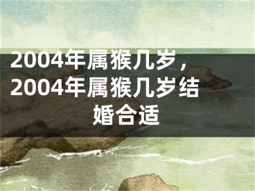 2004年属猴几岁,2004年属猴几岁结婚合适