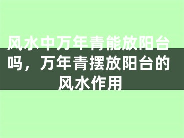 风水中万年青能放阳台吗，万年青摆放阳台的风水作用