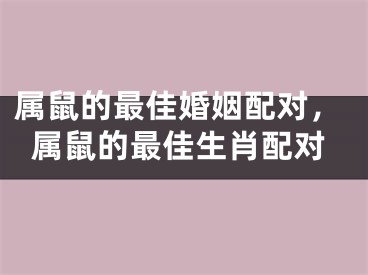 属鼠的最佳婚姻配对,属鼠的最佳生肖配对