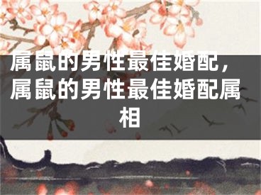 属鼠的男性最佳婚配，属鼠的男性最佳婚配属相