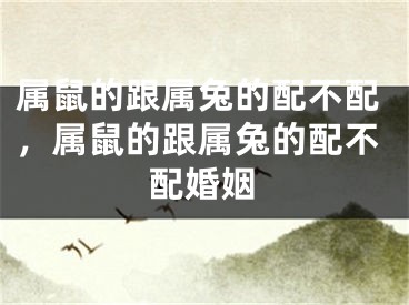 属鼠的跟属兔的配不配,属鼠的跟属兔的配不配婚姻
