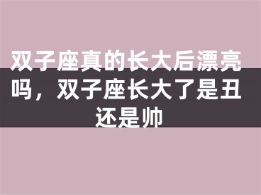双子座真的长大后漂亮吗,双子座长大了是丑还是帅