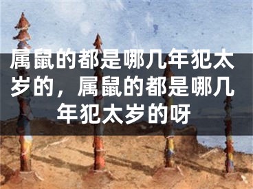 属鼠的都是哪几年犯太岁的,属鼠的都是哪几年犯太岁的呀