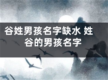 谷姓男孩名字缺水 姓谷的男孩名字