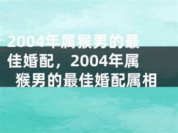 2004年属猴男的最佳婚配，2004年属猴男的最佳婚配属相