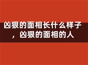 凶狠的面相长什么样子，凶狠的面相的人