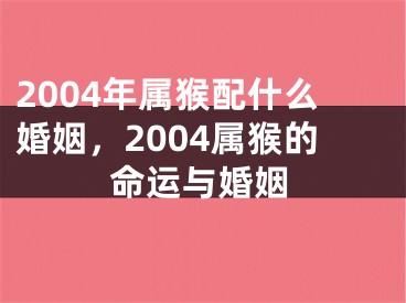 2004年属猴配什么婚姻，2004属猴的命运与婚姻