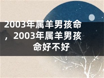 2003年属羊男孩命，2003年属羊男孩命好不好