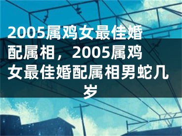 2005属鸡女最佳婚配属相,2005属鸡女最佳婚配属相男蛇几岁