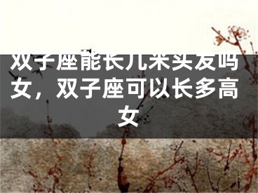 双子座能长几米头发吗女，双子座可以长多高女