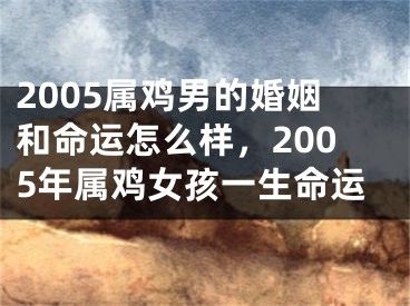 2005属鸡男的婚姻和命运怎么样,2005年属鸡女孩一生命运