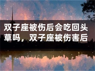 双子座被伤后会吃回头草吗，双子座被伤害后