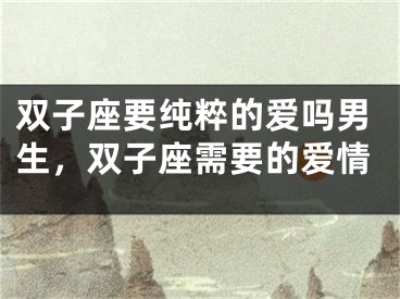双子座要纯粹的爱吗男生，双子座需要的爱情