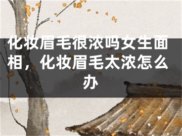 化妆眉毛很浓吗女生面相,化妆眉毛太浓怎么办