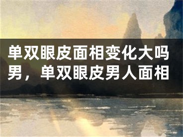 单双眼皮面相变化大吗男，单双眼皮男人面相