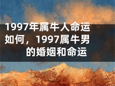 1997年属牛人命运如何，1997属牛男的婚姻和命运
