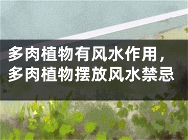 多肉植物有风水作用，多肉植物摆放风水禁忌