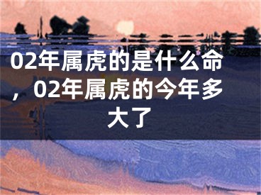 02年属虎的是什么命，02年属虎的今年多大了