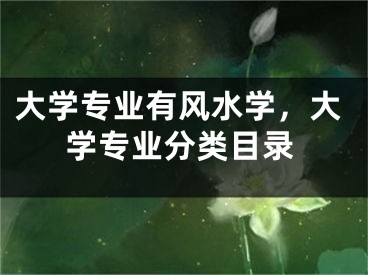 大学专业有风水学,大学专业分类目录