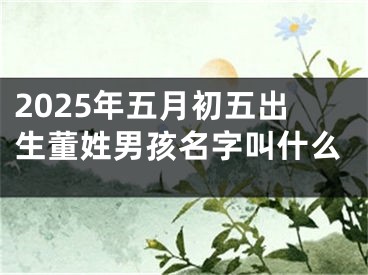 2025年五月初五出生董姓男孩名字叫什么