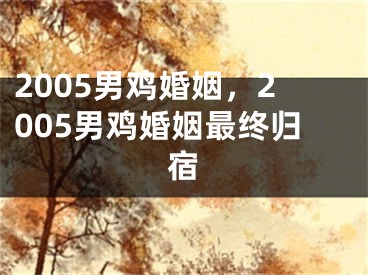 2005男鸡婚姻，2005男鸡婚姻最终归宿