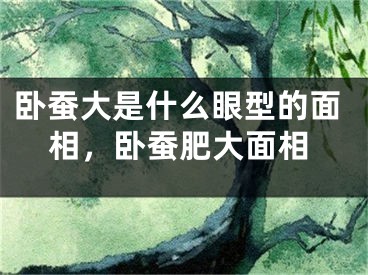 卧蚕大是什么眼型的面相,卧蚕肥大面相