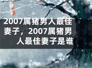 2007属猪男人最佳妻子,2007属猪男人最佳妻子是谁