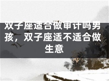 双子座适合做审计吗男孩，双子座适不适合做生意