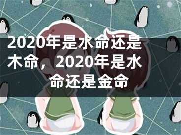 2020年是水命还是木命，2020年是水命还是金命