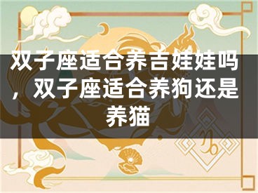 双子座适合养吉娃娃吗，双子座适合养狗还是养猫