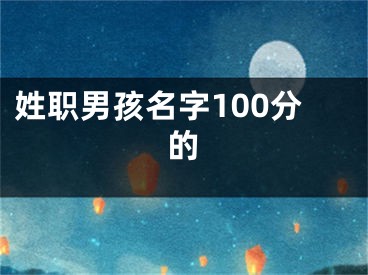 姓职男孩名字100分的
