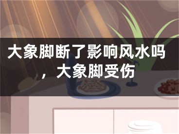大象脚断了影响风水吗，大象脚受伤