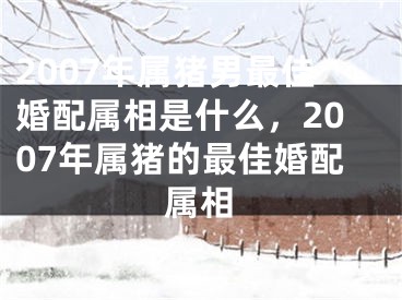 2007年属猪男最佳婚配属相是什么，2007年属猪的最佳婚配属相